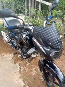 Bajaj Pulsar 150 2010 for Sale