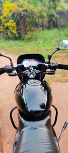 Bajaj Pulsar 150 2011 for Sale