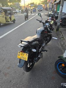 Bajaj Pulsar 150 2012 for Sale