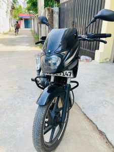 Bajaj Pulsar 150 2014 for Sale