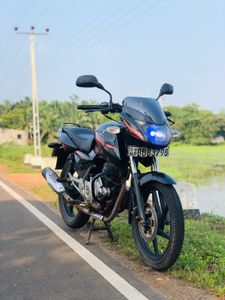 Bajaj Pulsar 150 2014 for Sale