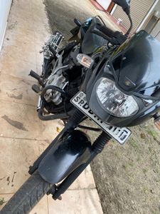 Bajaj Pulsar 150 2014 for Sale