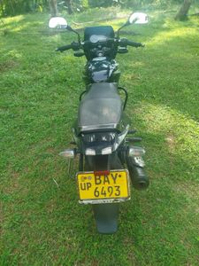 Bajaj Pulsar 150 2014 for Sale