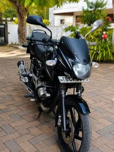 Bajaj Pulsar 150 2015 for Sale
