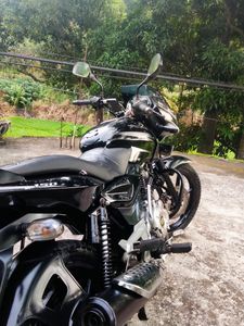 Bajaj Pulsar 150 2015 for Sale