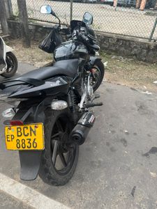 Bajaj Pulsar 150 2015 for Sale
