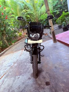 Bajaj Pulsar 150 2016 for Sale