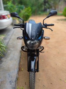 Bajaj Pulsar 150 2016 for Sale