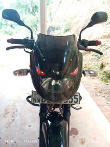 Bajaj Pulsar 150 2016 for Sale