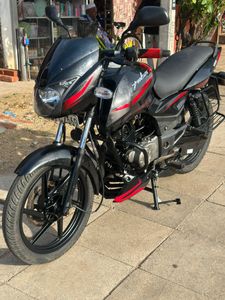 Bajaj Pulsar 150 2017 for Sale