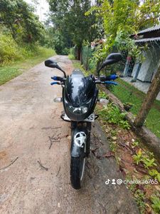 Bajaj Pulsar 150 2017 for Sale