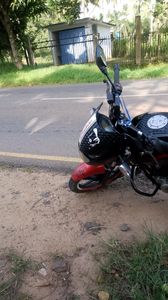 Bajaj Pulsar 150 2017 for Sale