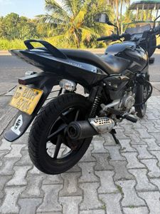 Bajaj Pulsar 150 2017 for Sale