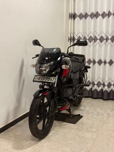 Bajaj Pulsar 150 2019 for Sale Bajaj Pulsar 150 2019 for Sale