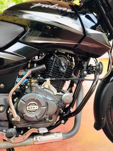 Bajaj Pulsar 150 2019 for Sale