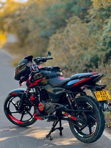 Bajaj Pulsar 150 2019 for Sale