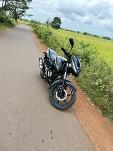 Bajaj Pulsar 150 2019 for Sale