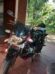 Bajaj Pulsar 150 2019 for Sale