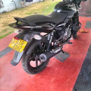 Bajaj Pulsar 150 2019 for Sale