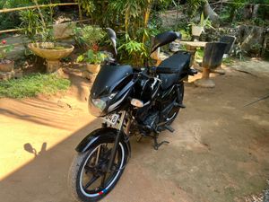 Bajaj Pulsar 150 2017 for Sale