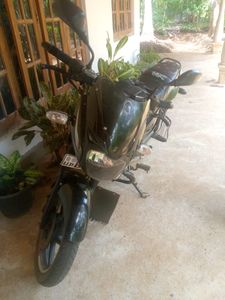 Bajaj Pulsar 150 2019 for Sale