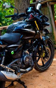 Bajaj Pulsar 150 Double Disk 2019 for Sale