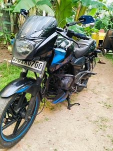 Bajaj Pulsar 150 2019 for Sale