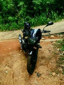 Bajaj Pulsar 150 2009 for Sale