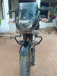 Bajaj Pulsar 150 2015 for Sale