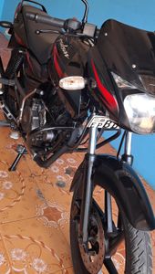 Bajaj Pulsar 150 2016 for Sale