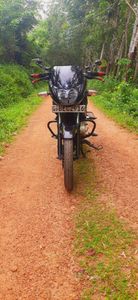 Bajaj Pulsar 150 2016 for Sale