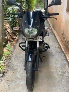 Bajaj Pulsar 150 2014 for Sale