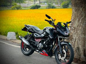 Bajaj Pulsar 150 2010 for Sale