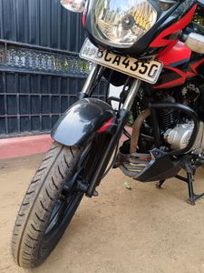 Bajaj Pulsar 150 2015 for Sale