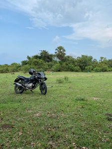 Bajaj Pulsar 150 2016 for Sale