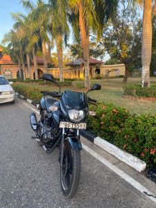 Bajaj Pulsar 150 2017 for Sale