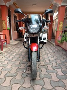 Bajaj Pulsar 150 2015 for Sale