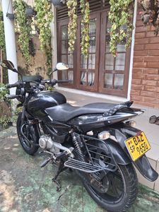Bajaj Pulsar 150 Used 2014 for Sale