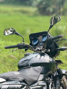 Bajaj Pulsar 180 2006 for Sale