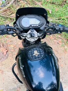 Bajaj Pulsar 180 2008 for Sale