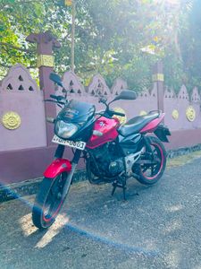 Bajaj Pulsar 180 2008 for Sale