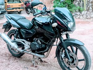 Bajaj Pulsar 200 2008 for Sale
