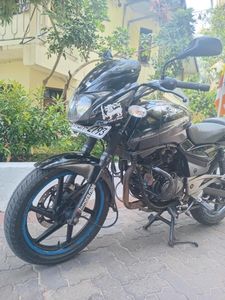 Bajaj Pulsar 200 2008 for Sale