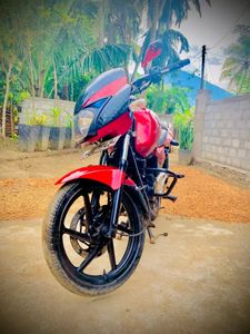 Bajaj Pulsar 200 2008 for Sale