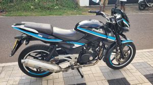 Bajaj Pulsar 200 2009 for Sale