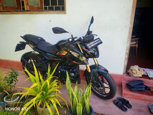 Bajaj Pulsar NS160 2026 for Sale