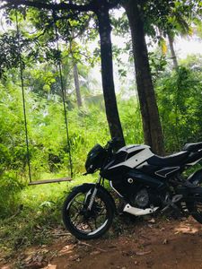 Bajaj Pulsar NS160 2017 for Sale