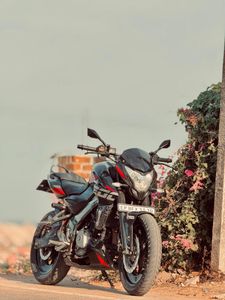 Bajaj Pulsar NS200 2017 for Sale