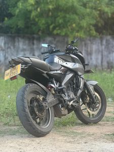 Bajaj Pulsar NS200 2019 for Sale