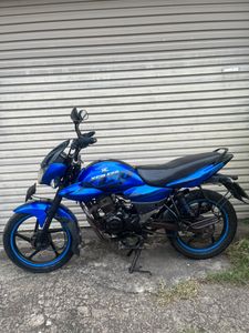 Bajaj XCD 125 2008 for Sale